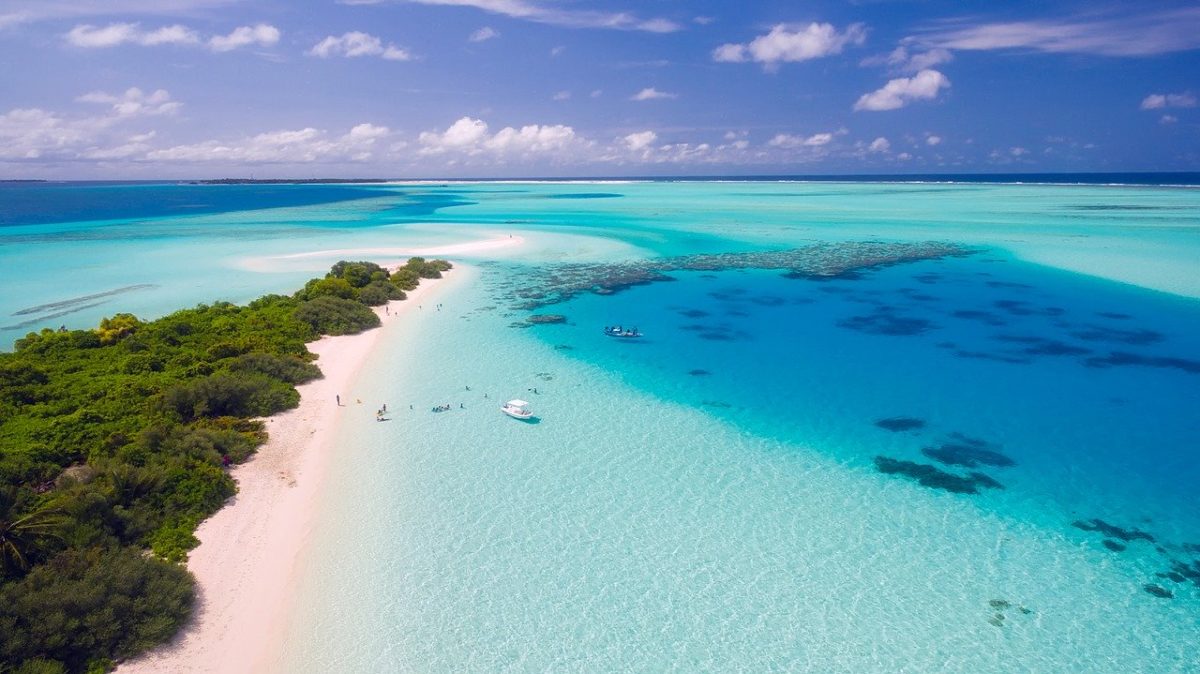 Expedia Booking Tips for Big Savings in 2025
